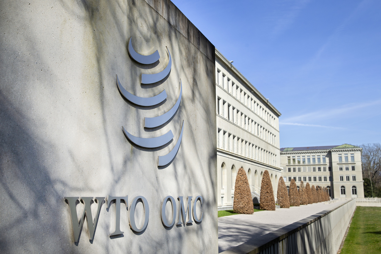Lungo palazzo anni 40 con cipressi davanti e logo WTO OMC di lato