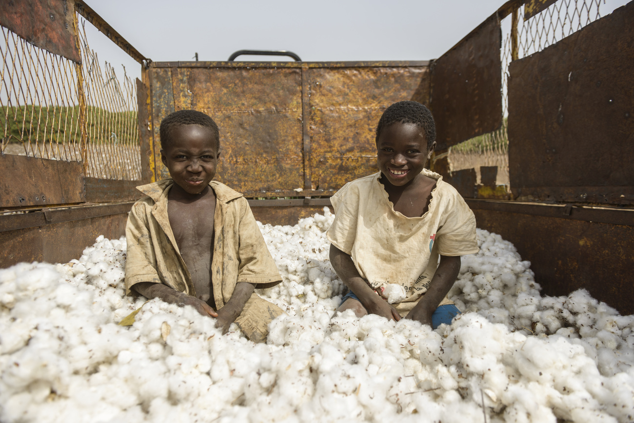Work in the cotton fields of Cote D Ivoire, (Ivory Coast).