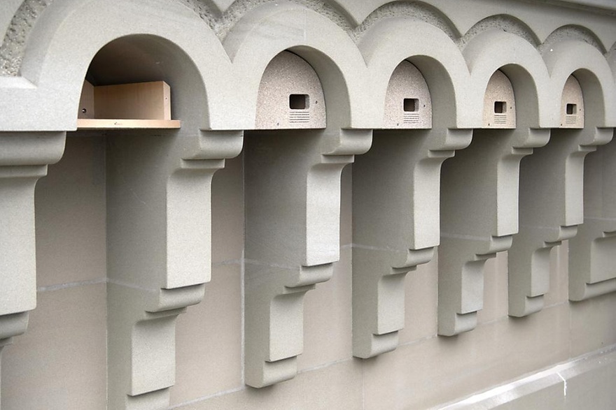 联邦大厦的燕子窝