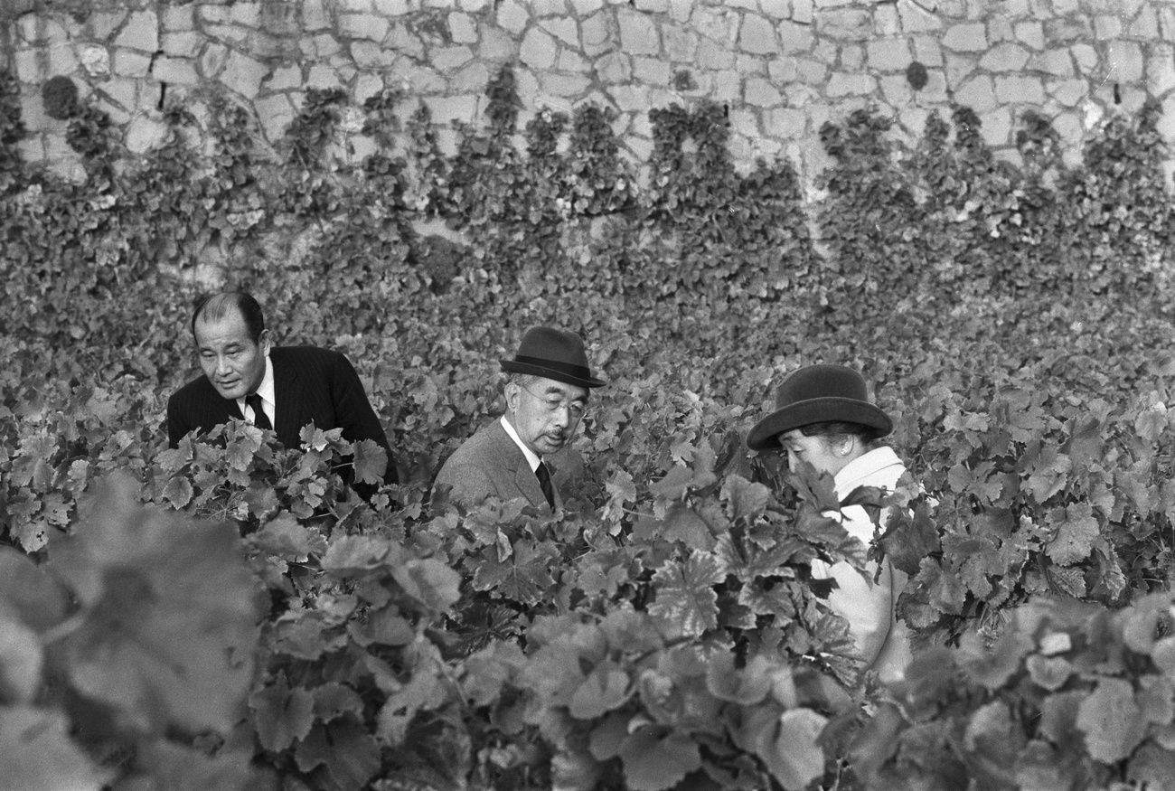 Couple impérial japonais dans un jardin.