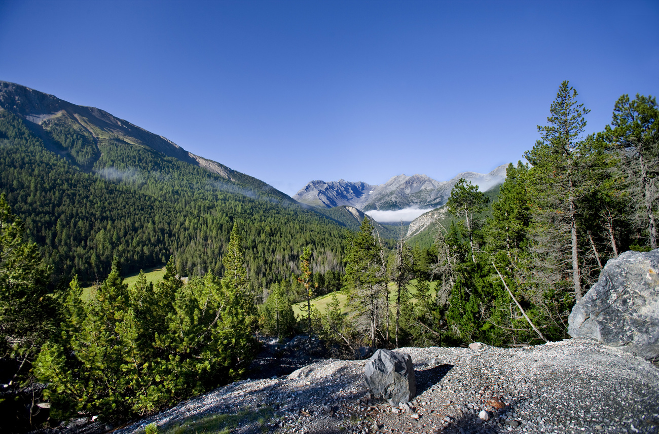 Paysage du Parc national suisse