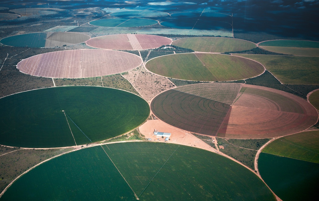 fields
