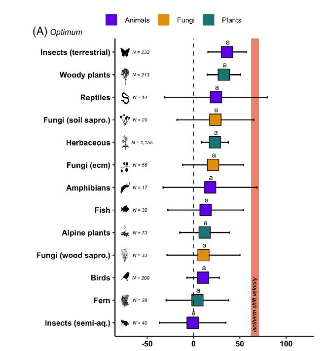 Optimum elevational shift of species in the Alps