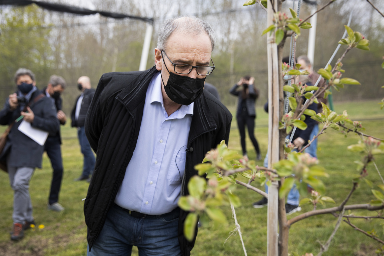 Guy Parmelin