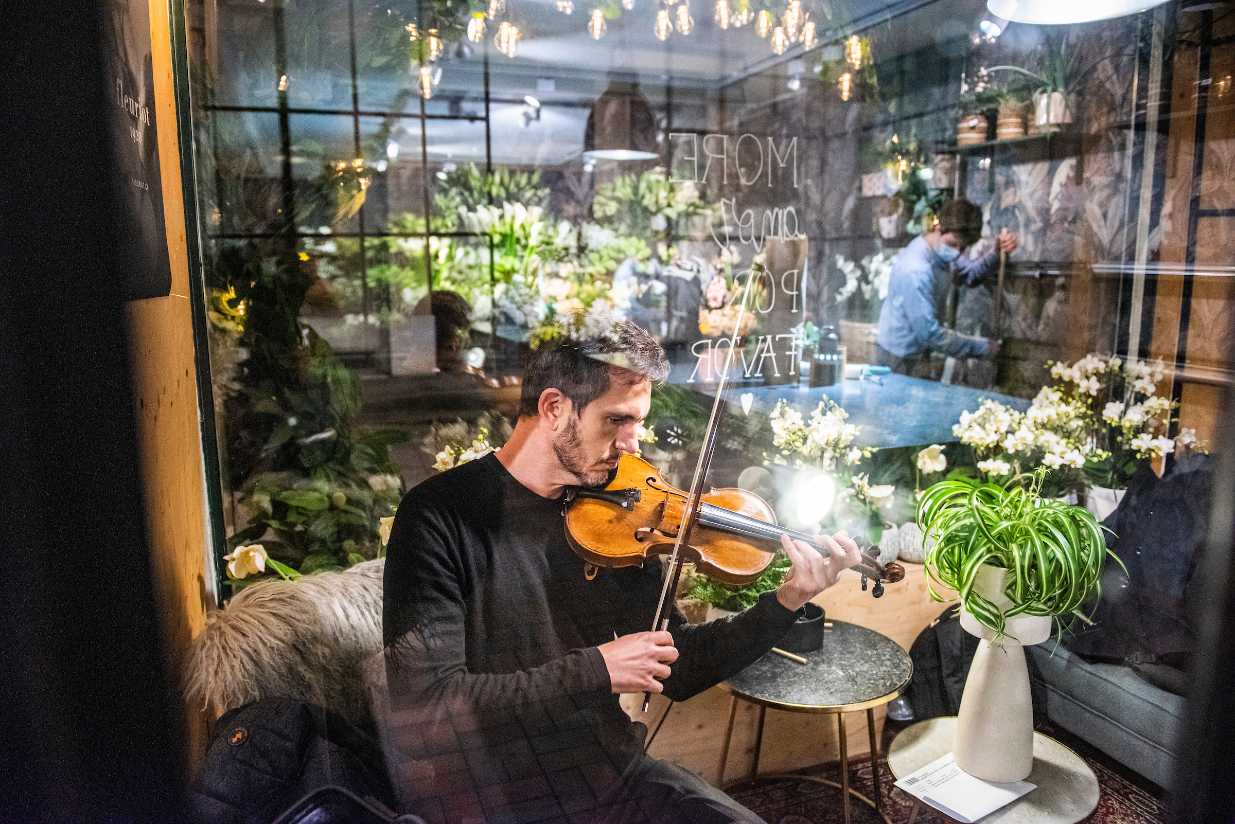 flower shop violin
