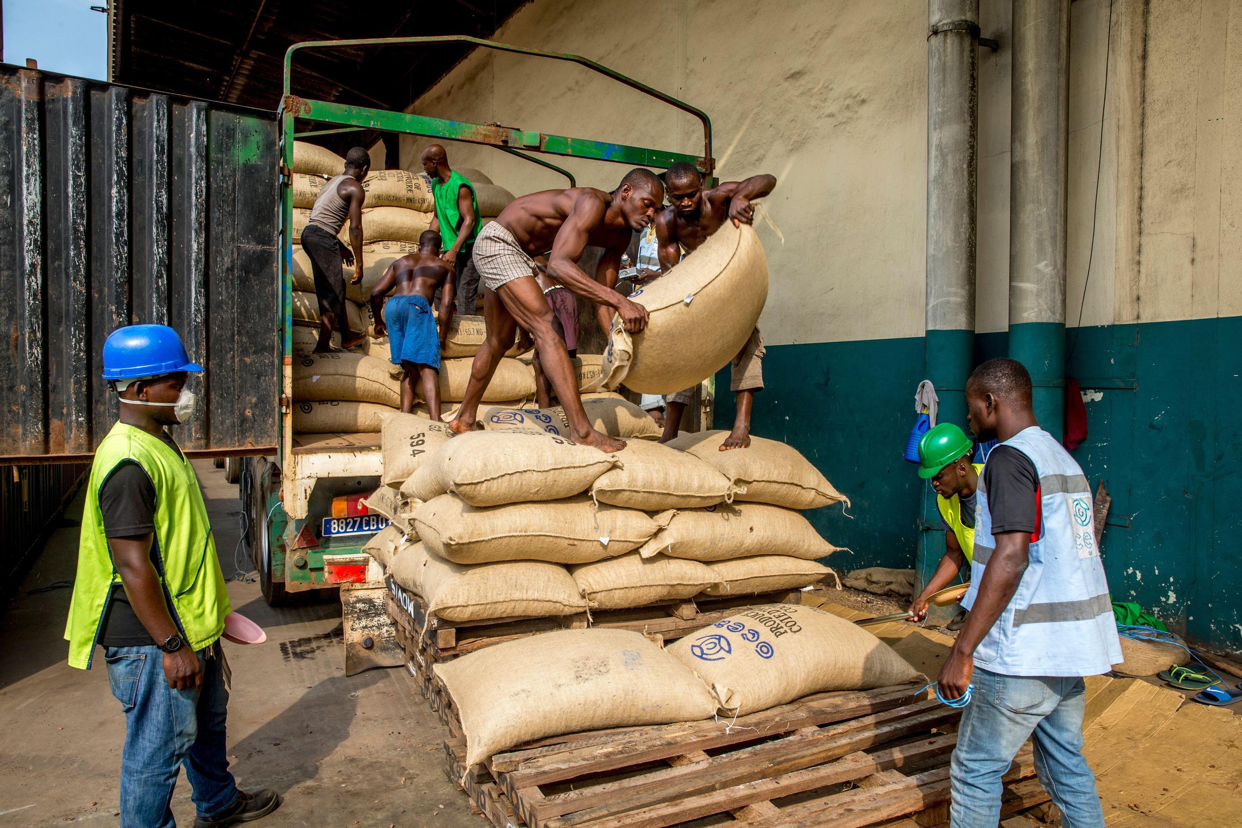 coffee production