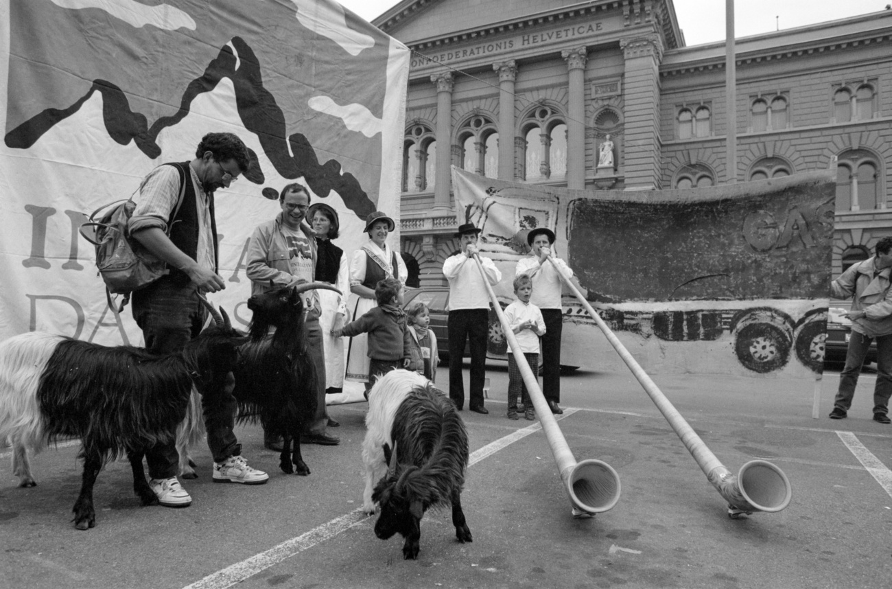 Defensores de la Iniciativade los Alpes con cabras y cuernos alpinos ante el Parlamento (foto en blanco y negro)