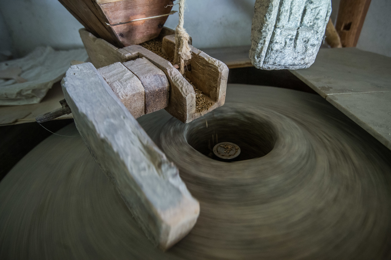 Grano in procinto di essere macinato
