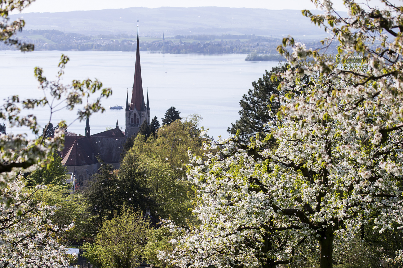 zug