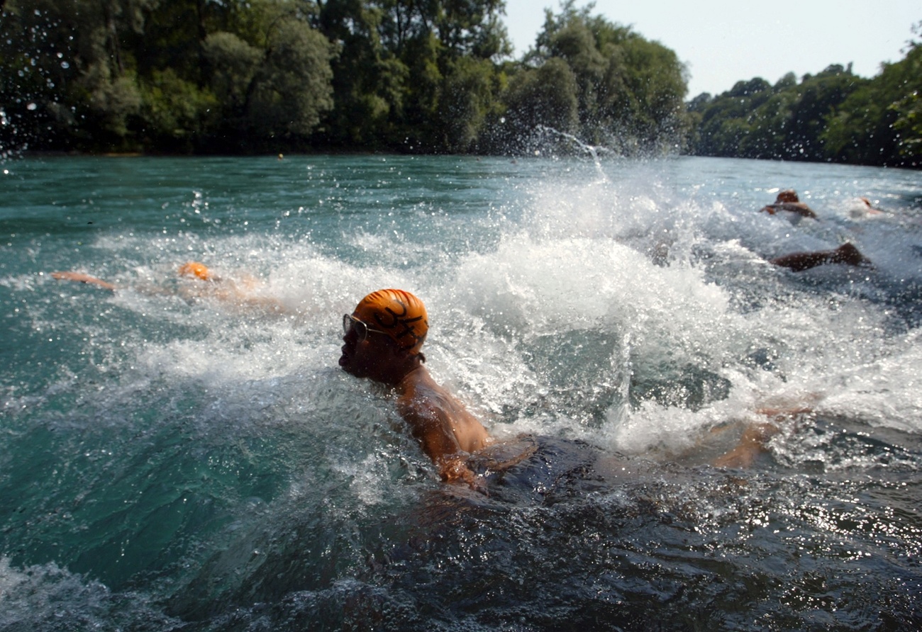Aareschwimmen