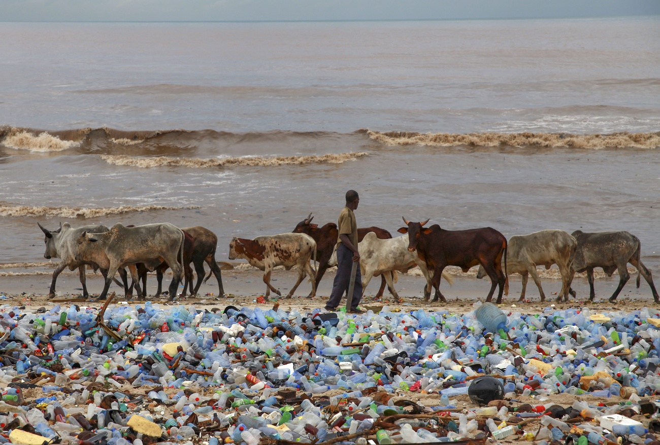 polluted beach