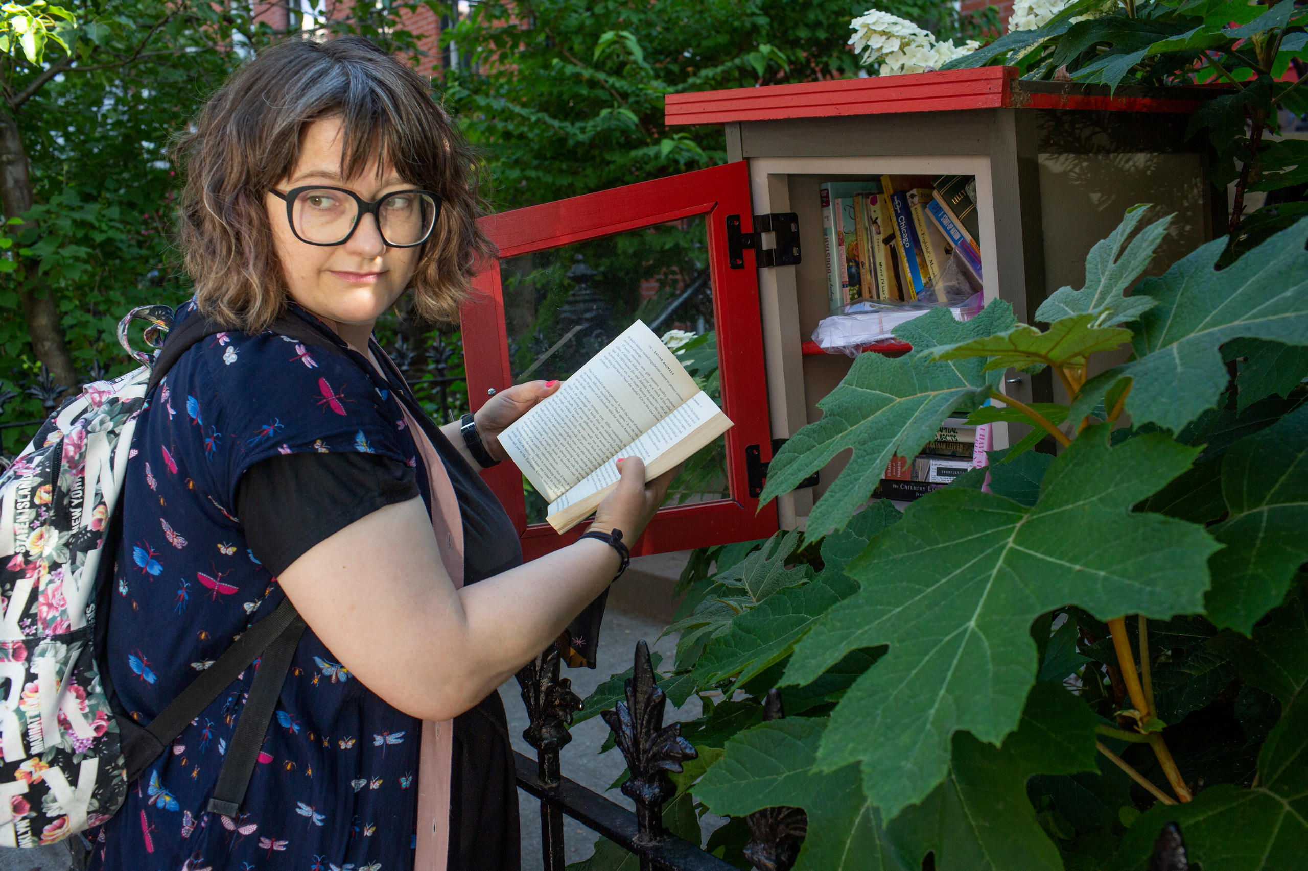 Boîte à livres à Brooklyn