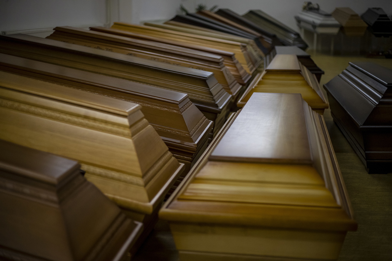 bare in legno