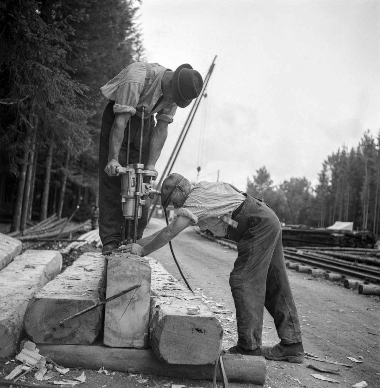 due uomini stanno tagliando delle traverse di legno