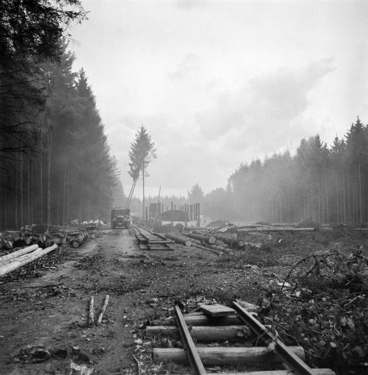 costruzione di una ferrovia in mezzo a una foresta