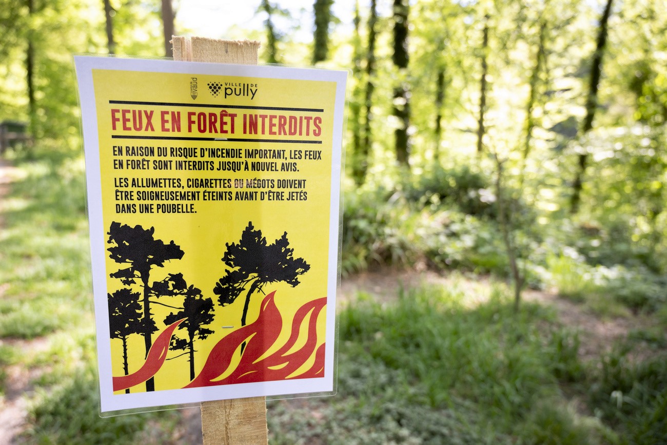 alerte feu de foret