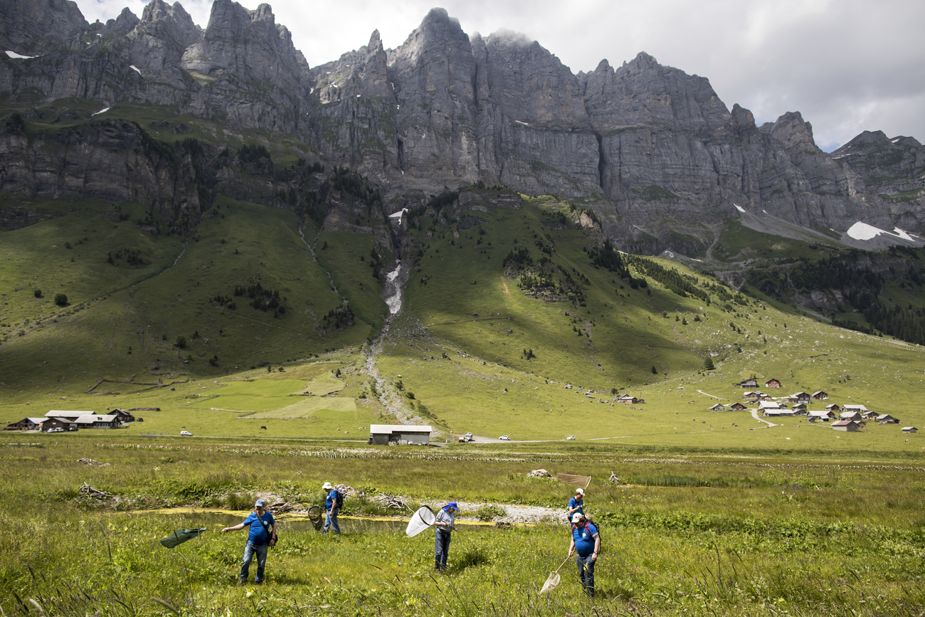 Swiss mountains