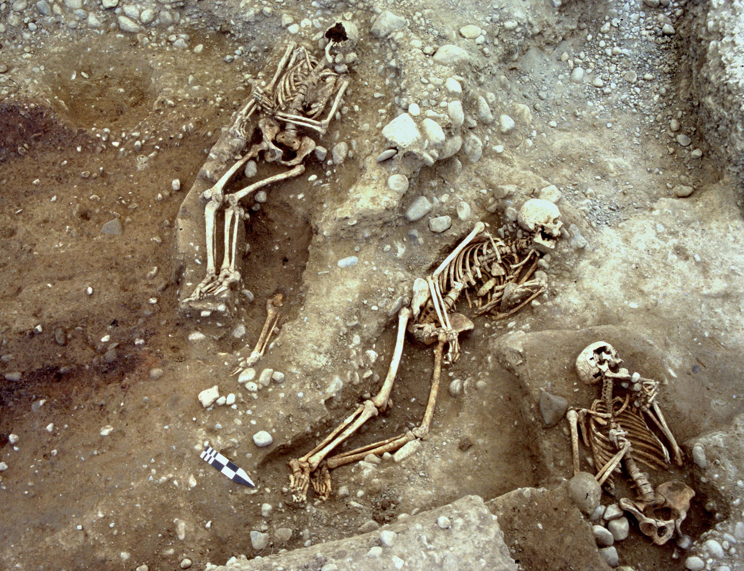 tre scheletri nella terra