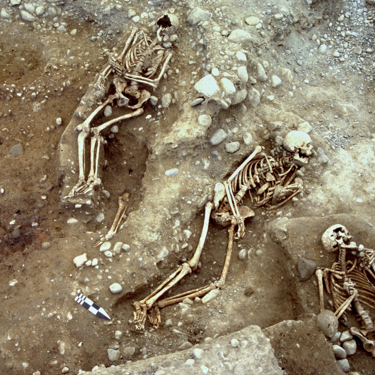 O que os esqueletos nos dizem sobre a vida dos antigos romanos - SWI  swissinfo.ch