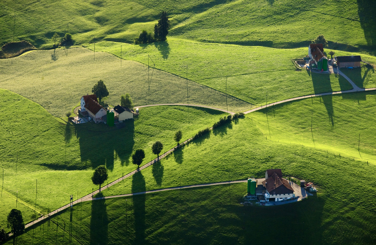 Paesaggio svizzero contadino.
