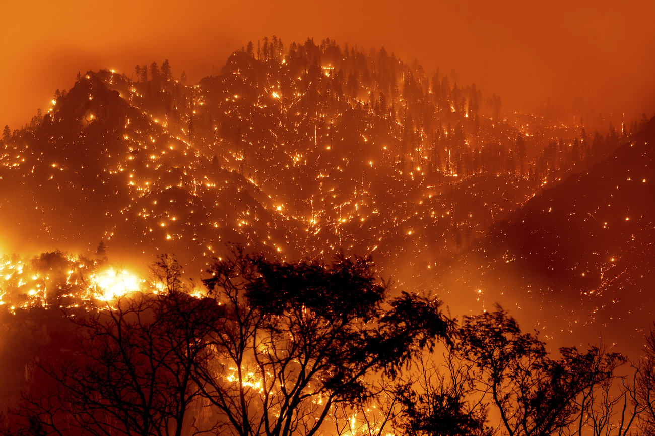 Incendio in un bosco della California nel luglio 2021.