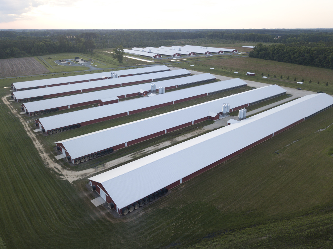 Une ferme avicole aux États-Unis.