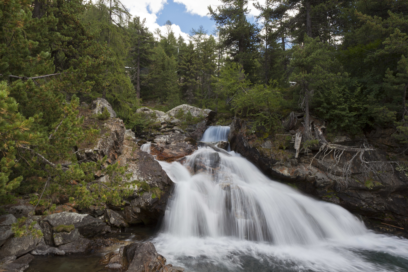 Les fortes précipitations font tout de même des heureux: les sources, les forêts, ou les glaciers se portent mieux.