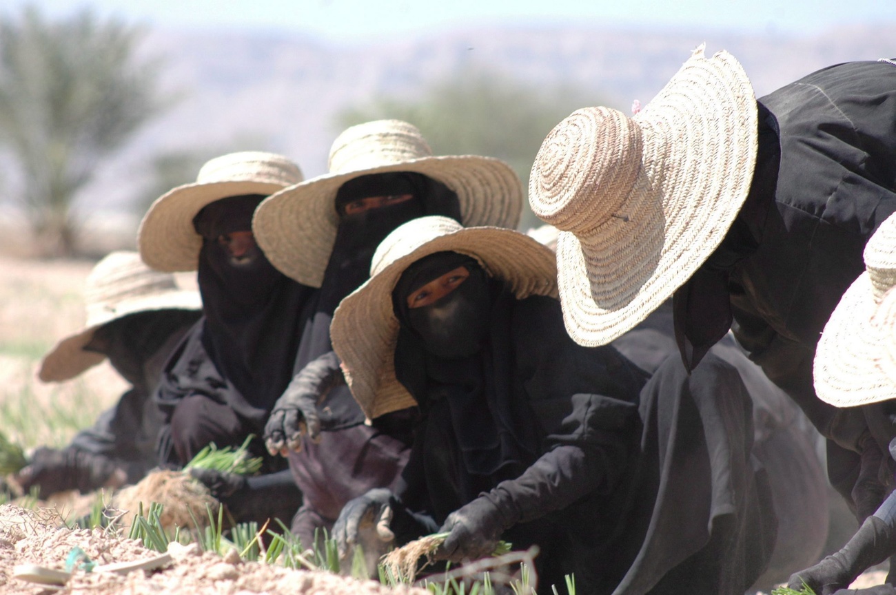 Femmes avec des chapeaux de paille dans un champ.