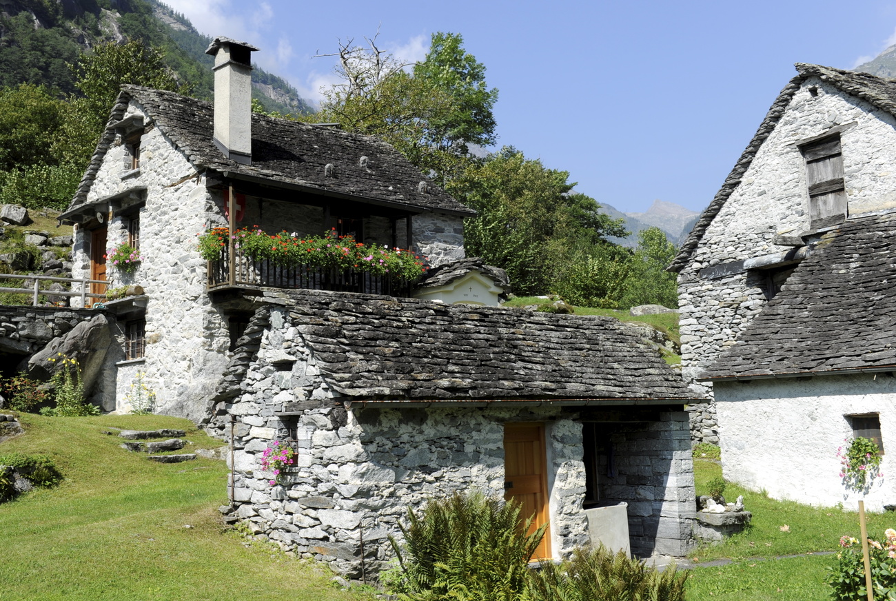 Rustici