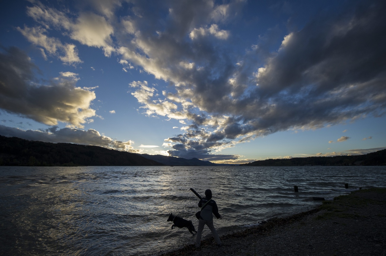 lago al tramonto, signora gioca con il cane in riva