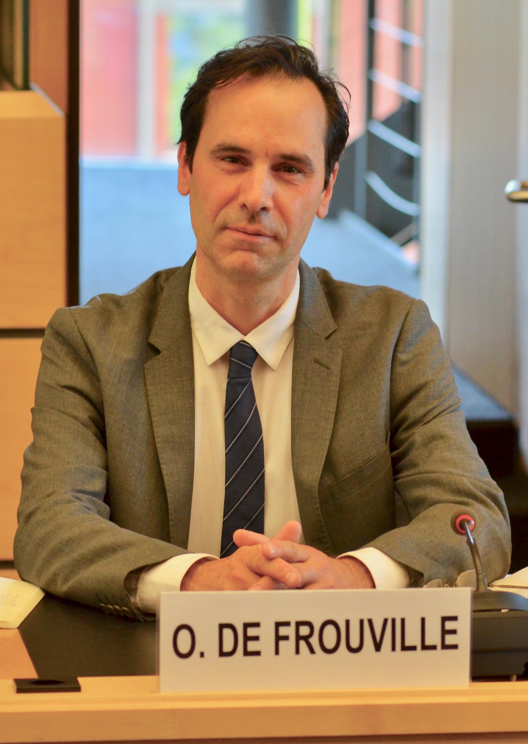 CED-Vizepräsident Olivier de Frouville