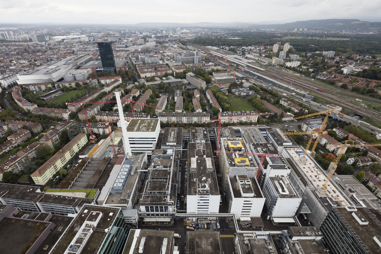 View of Roche plants from Roche Tower