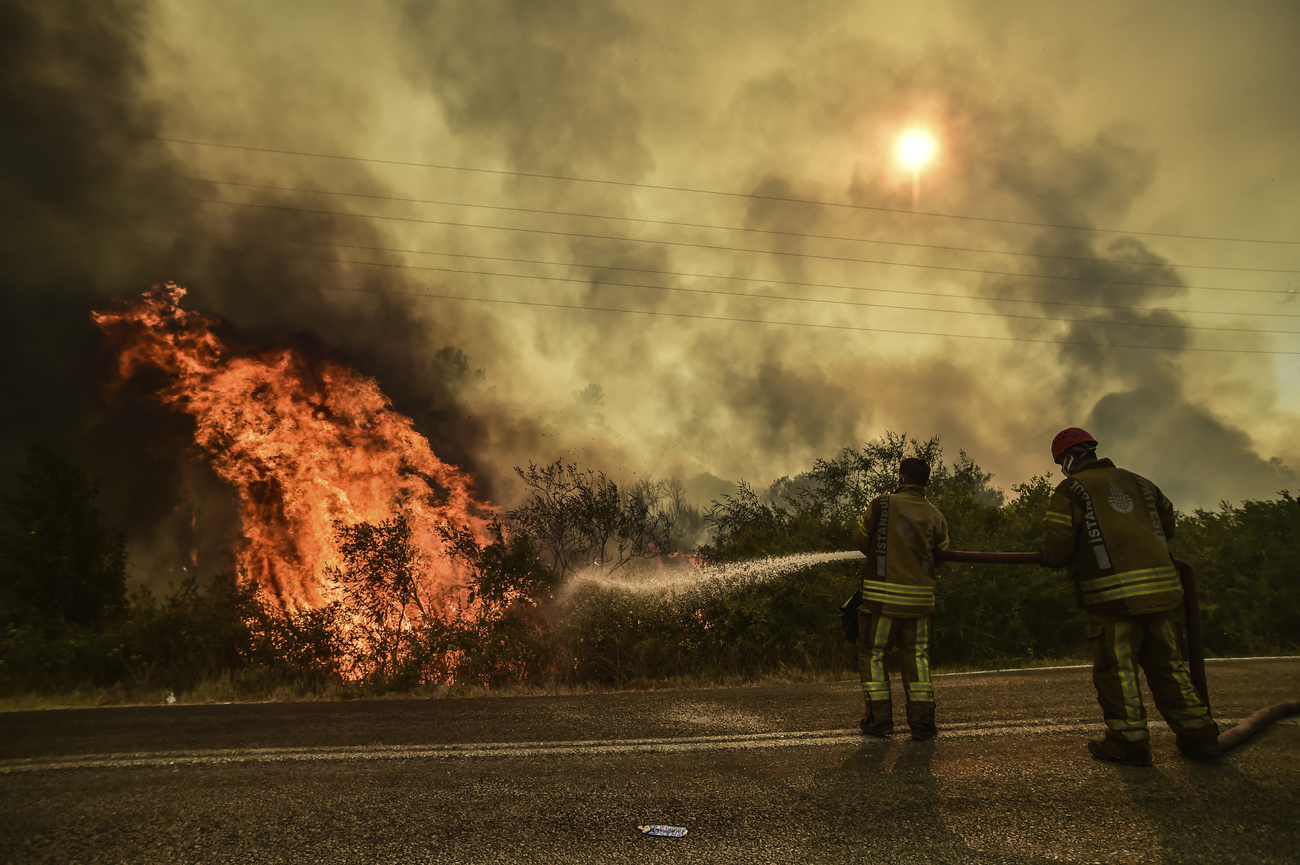 due pompieri cercano di spegnere fuoco boschivo