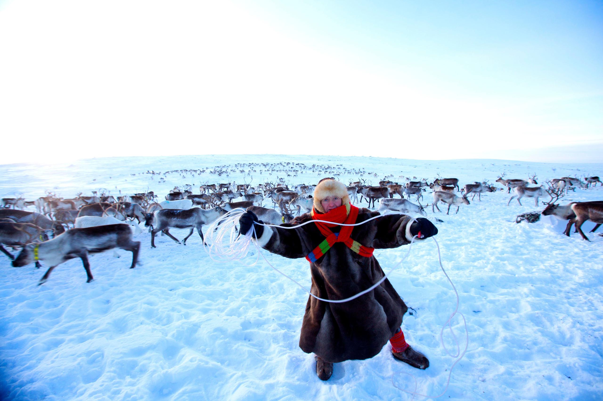 薩米人是歐洲僅存的原住民，他們的傳統領域分佈在挪威、芬蘭、瑞典和俄羅斯。