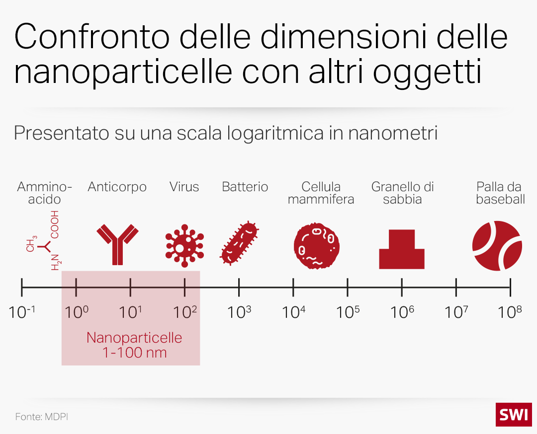 confronto dimensioni nanoparticelle con altri oggetti