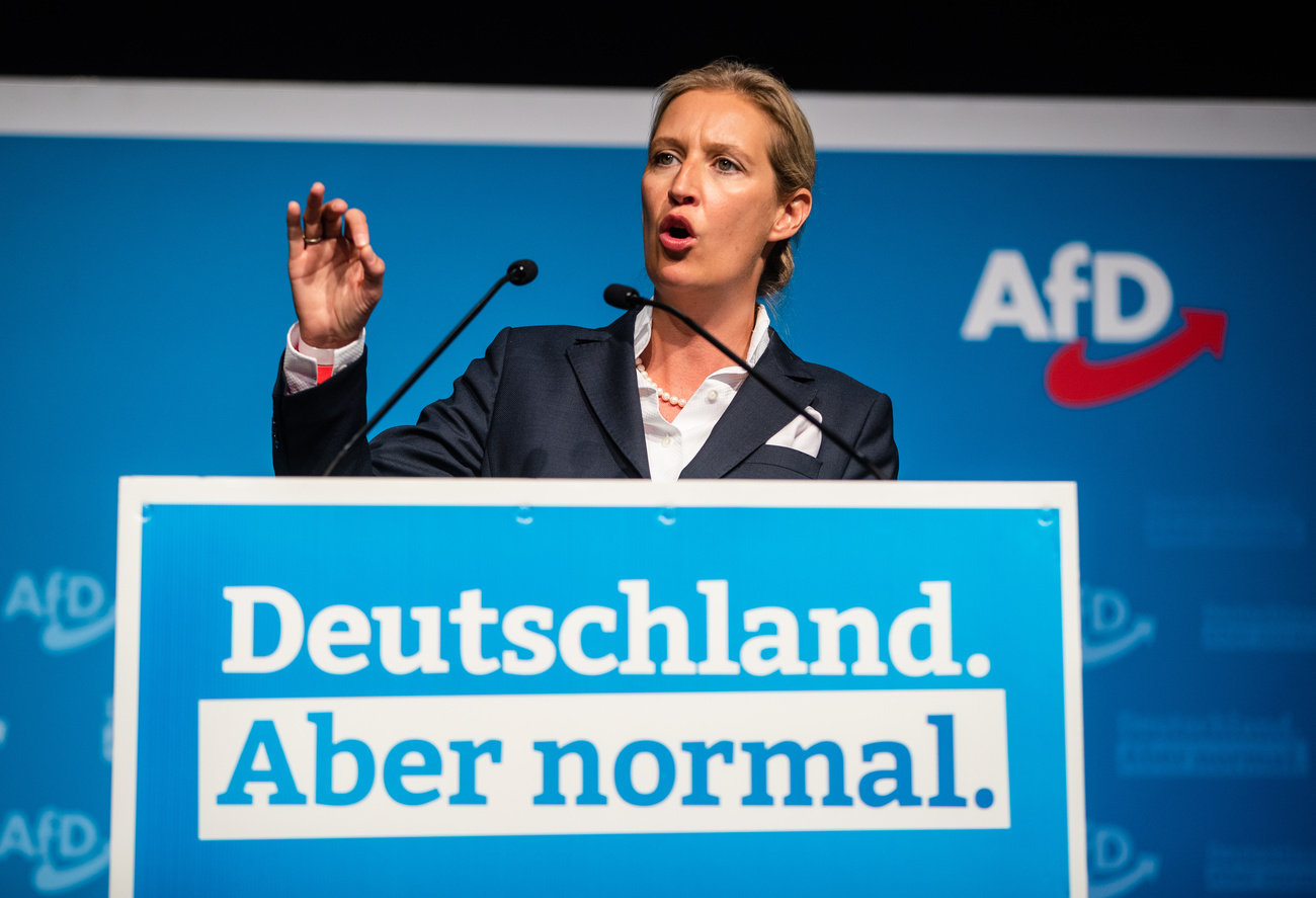 Alice Weidel is co-chair of the AfD s parliamentary group