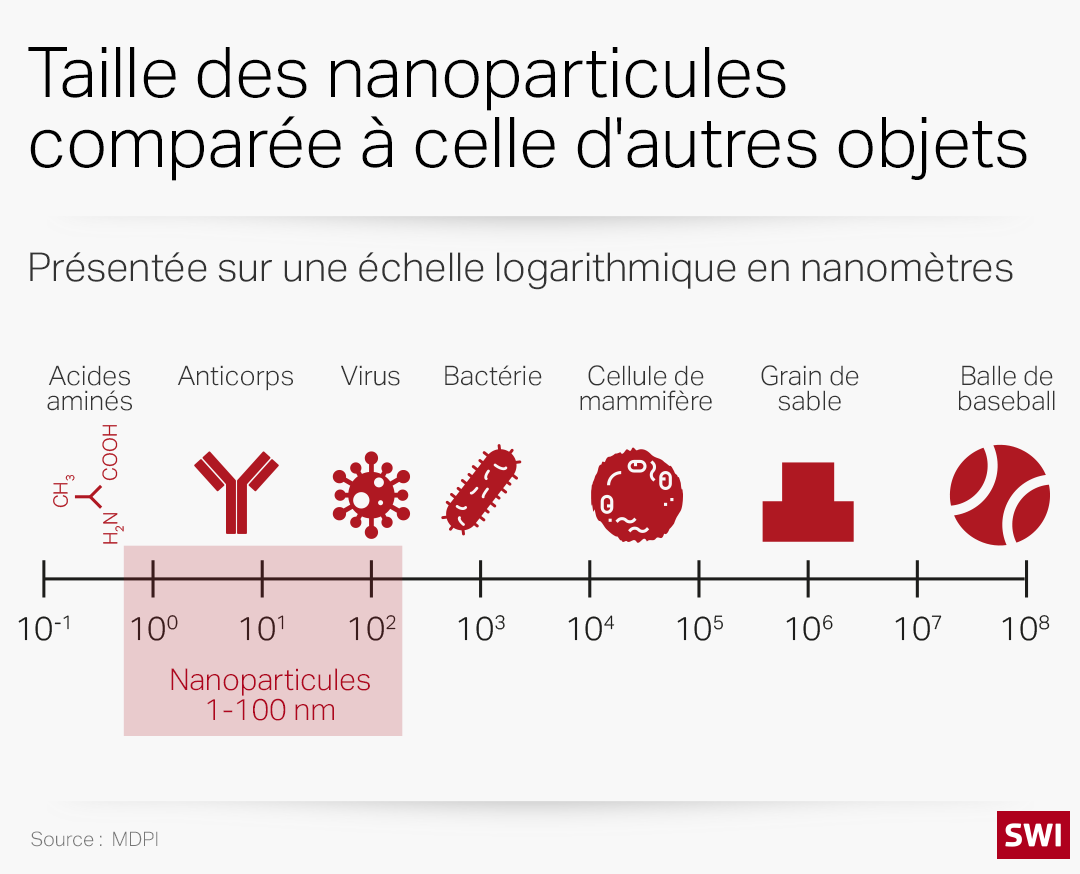 infographie comparant la taille des nanoparticules à d autres objets