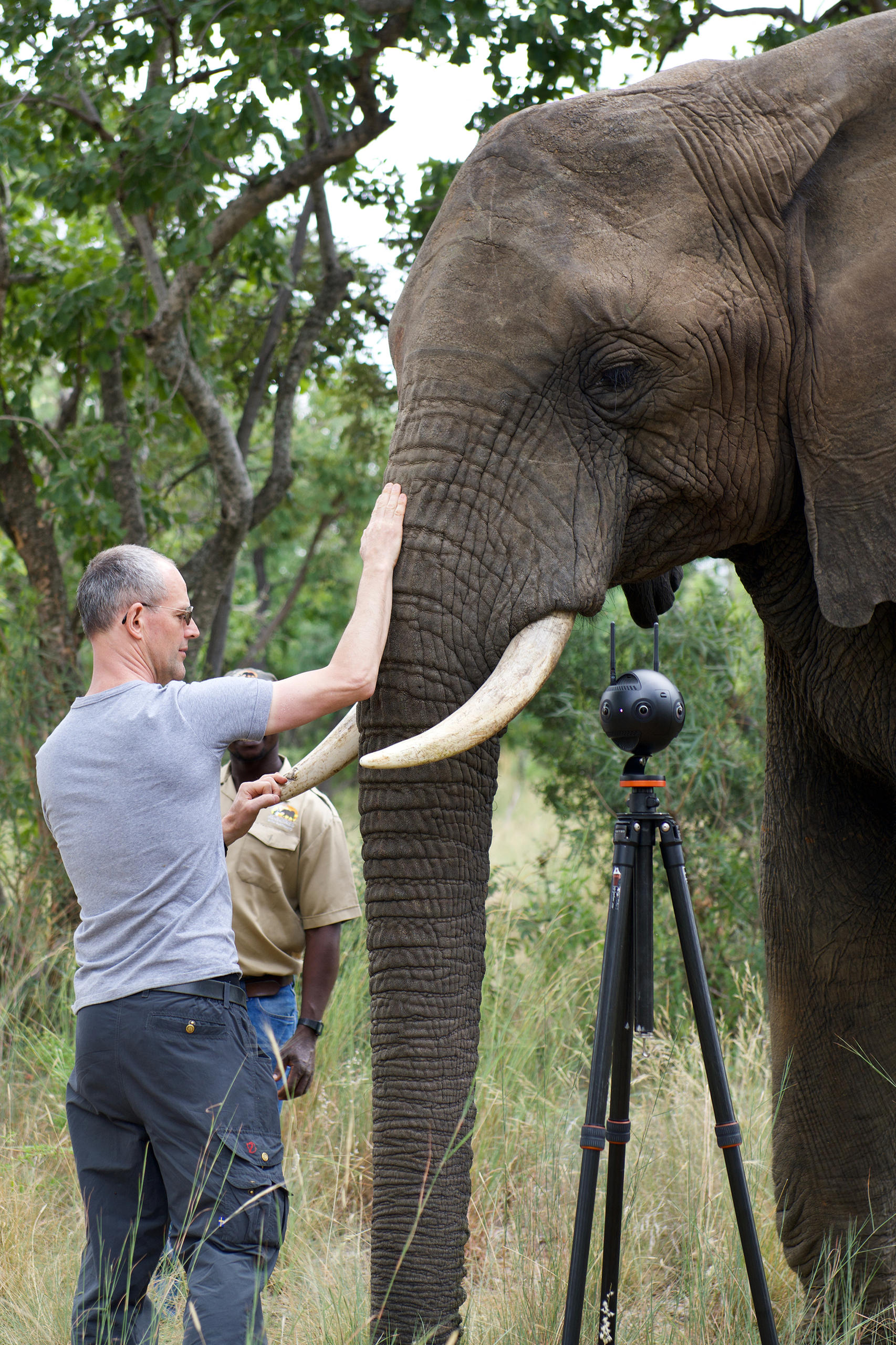 Elefant und Mann