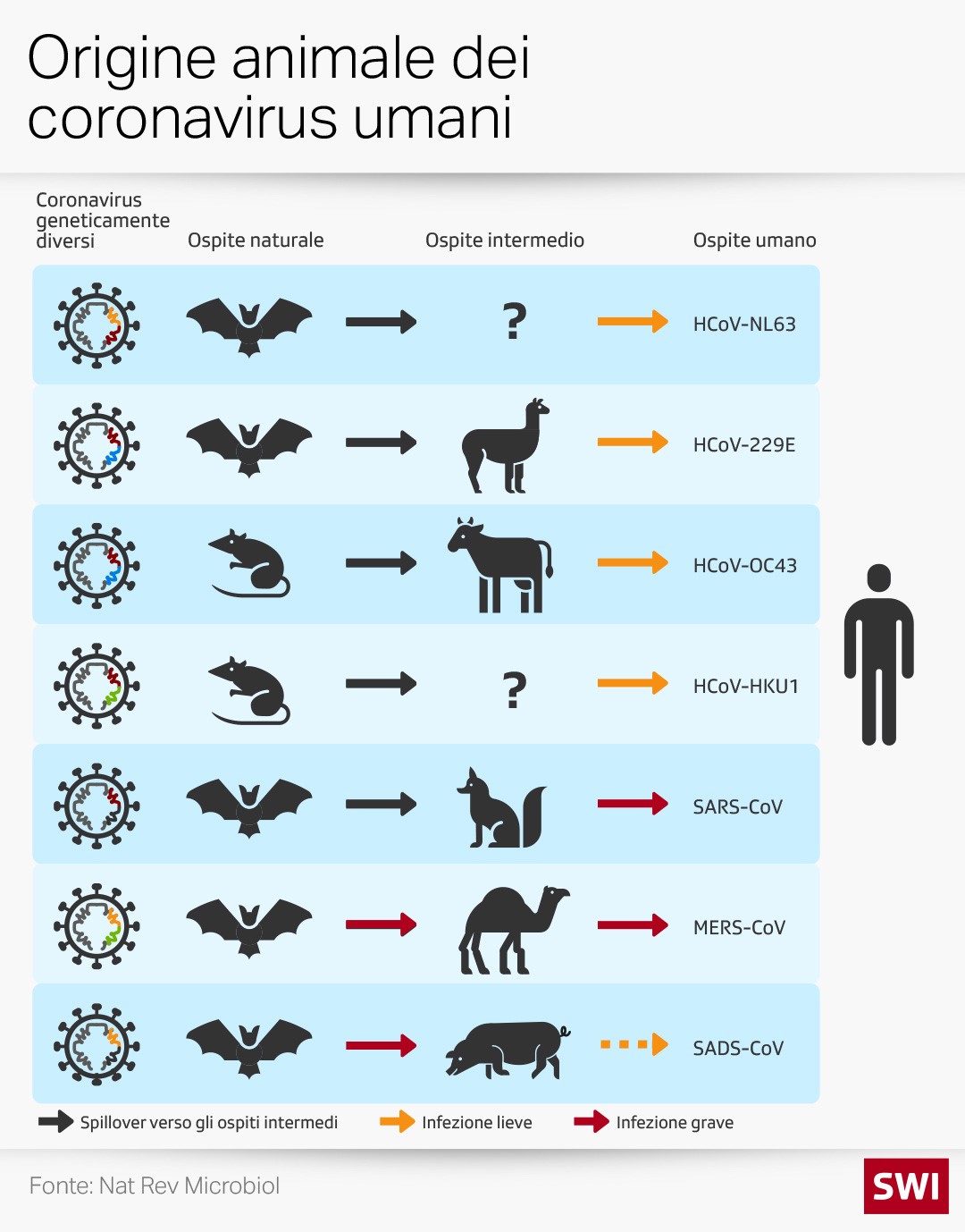 grafico origine animale dei coronavirus