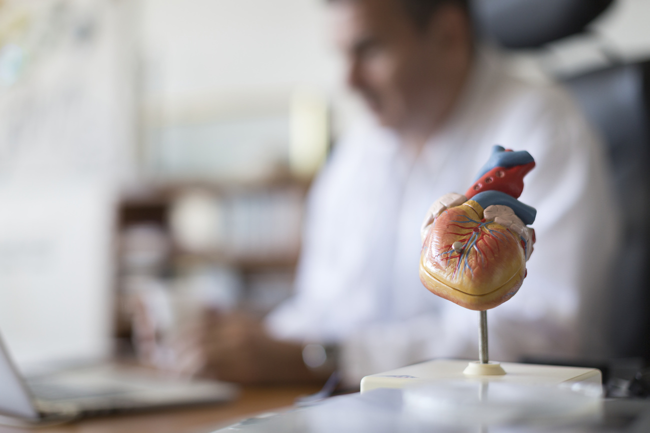 Un modello di cuore su una scrivania di un medico.
