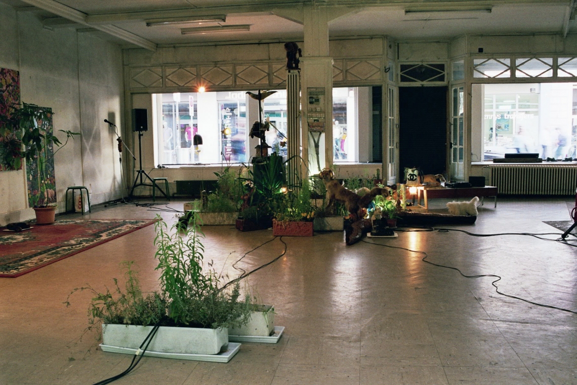 Plantas y figuras de animales en un salón