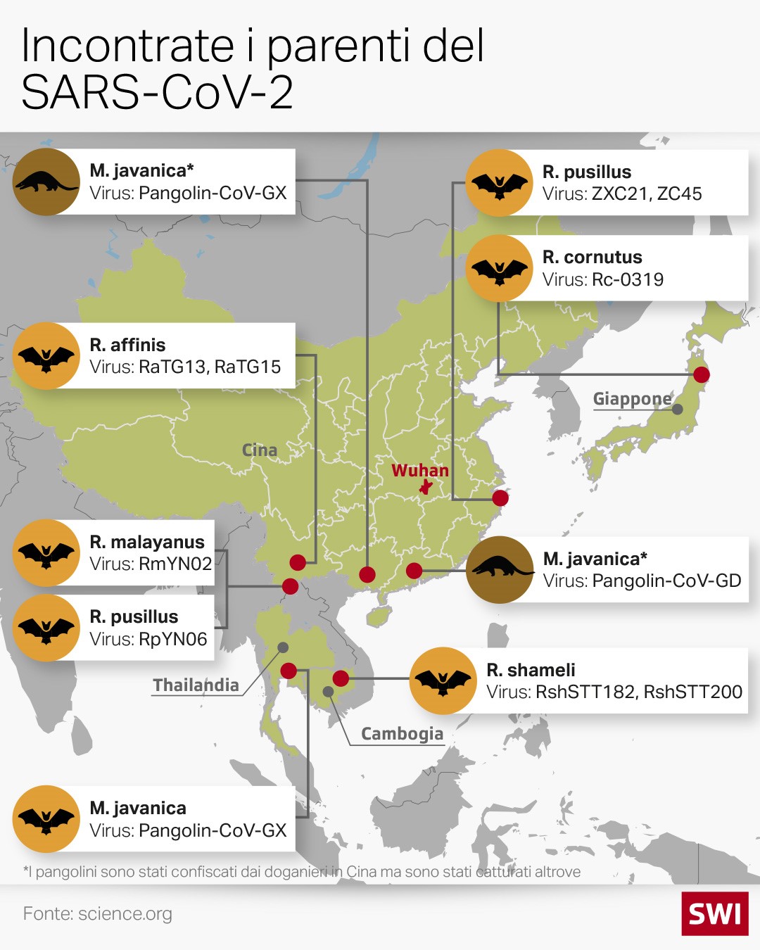cartina parenti del sars-cov-2