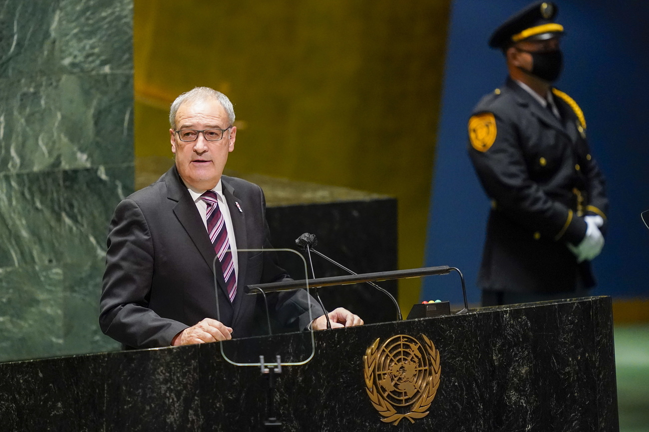 parmelin