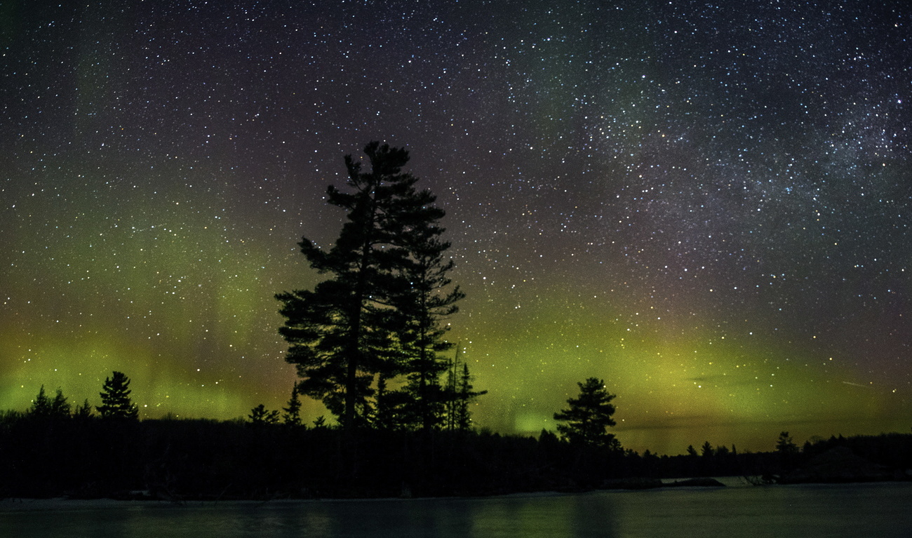 Boreal forest