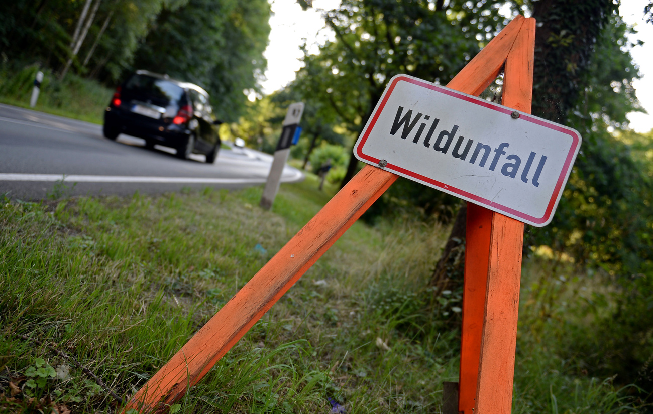 Accident road sign