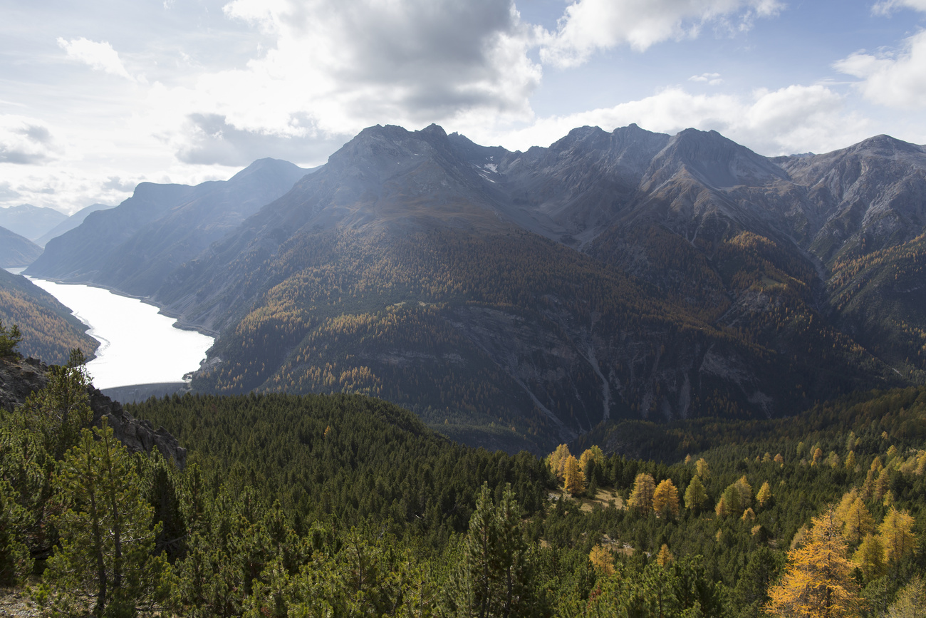 swiss national park