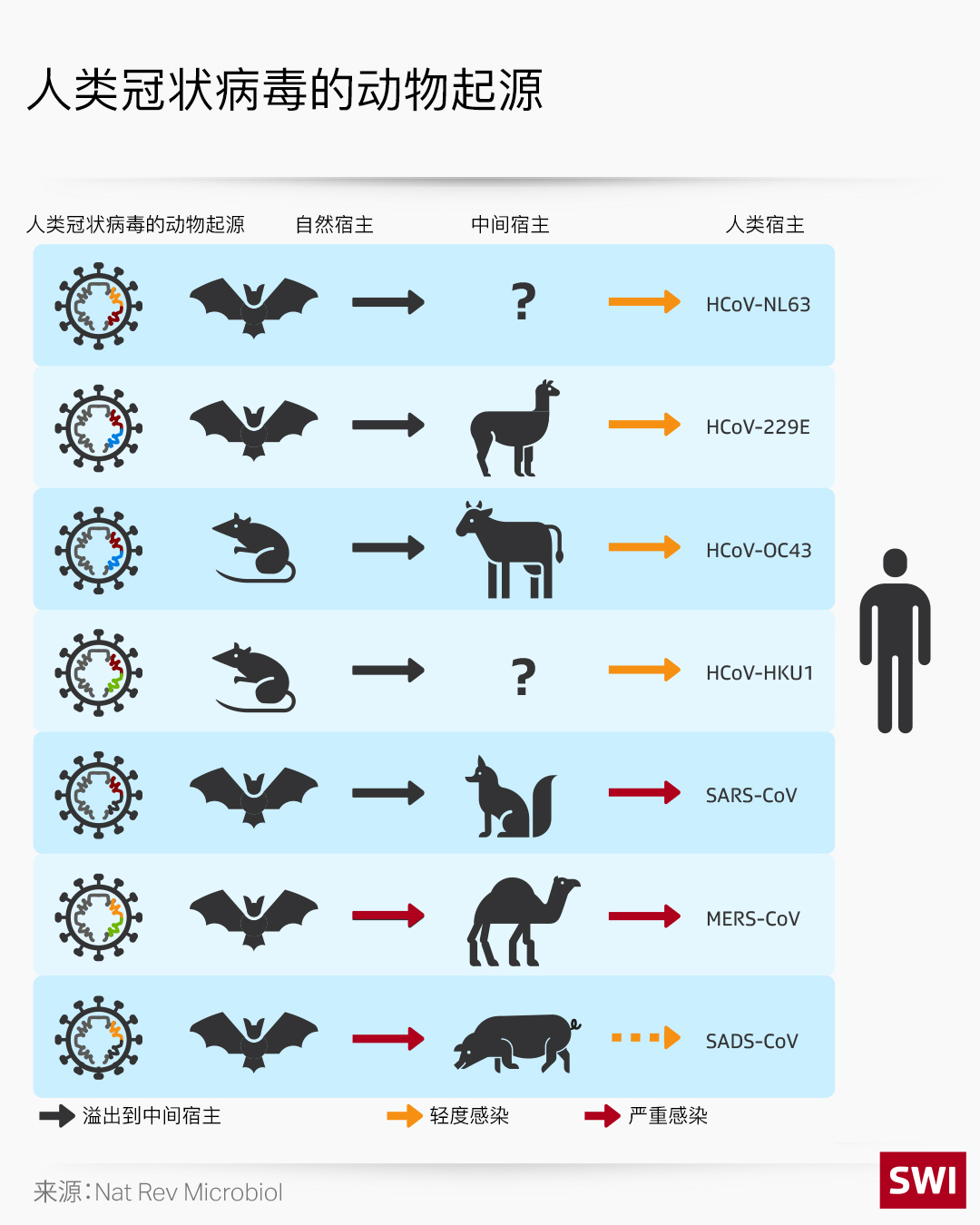 冠状病毒动物起源
