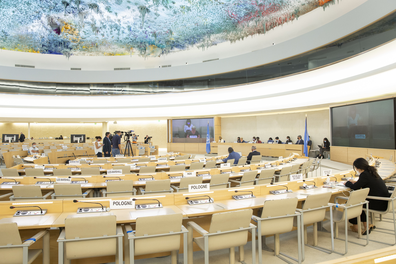 human rights council