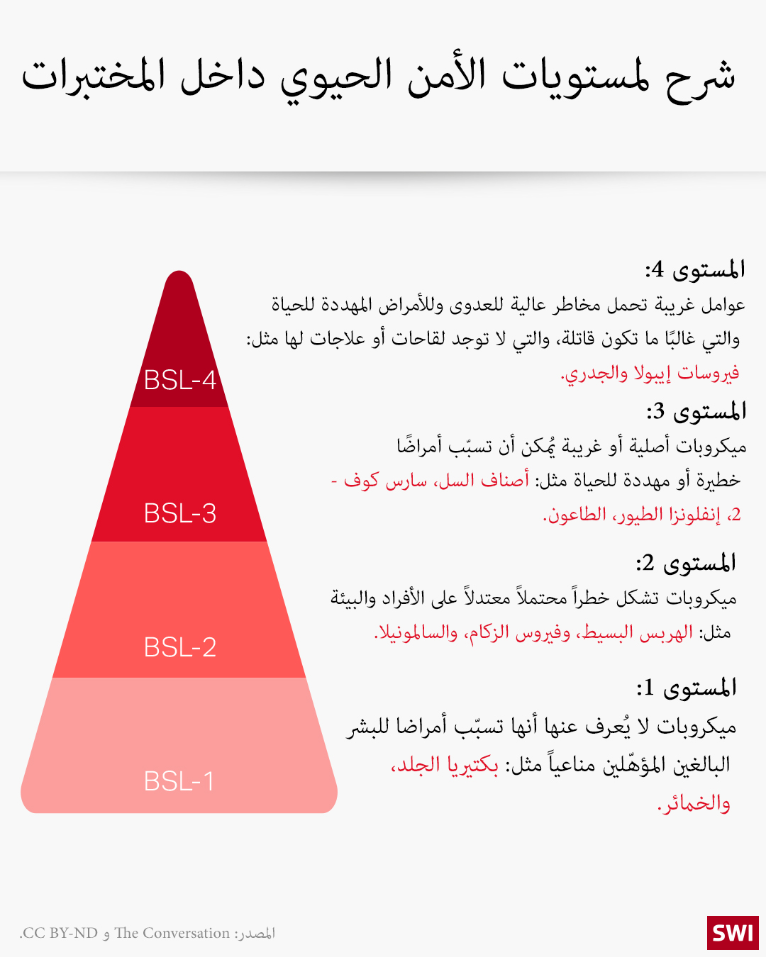 رسم توضيحي