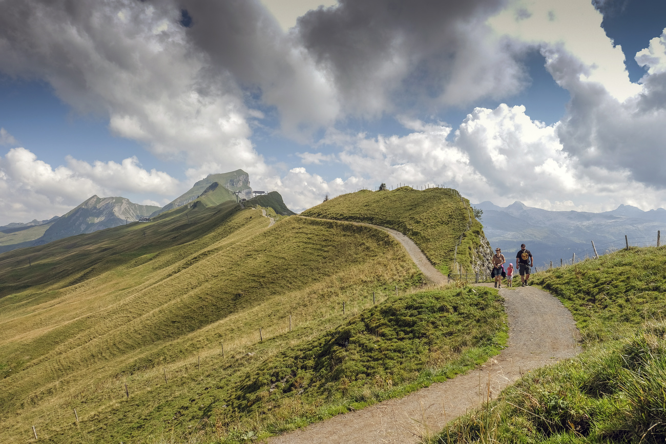 mountain hiking trail